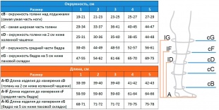 Чулки антиэмболические 2 класс Ergoforma (арт. 227) фото 2702