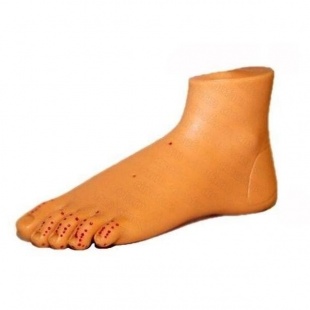 Муляж стопы фото 4507