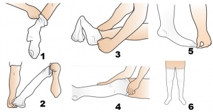 Чулки антиэмболические 2 класс Ergoforma (арт. 227) фото 2704