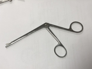 Конхотом с щелевидным отверстием №2 фото 5805