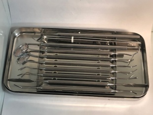 Набор инструментов №10 для стоматолога в стерилизаторе (Струм) фото 1542